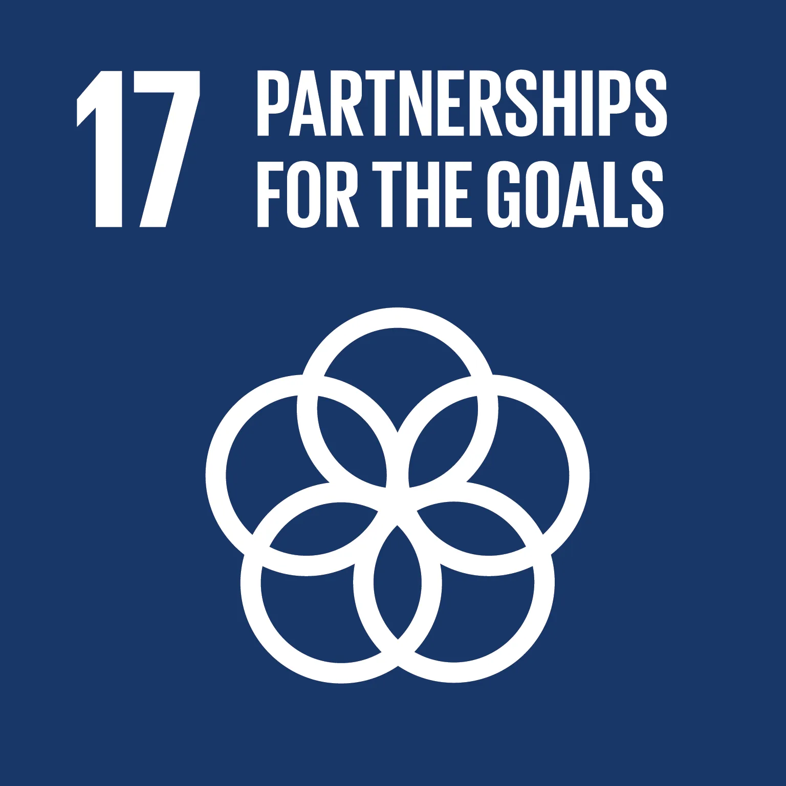 Partnerships